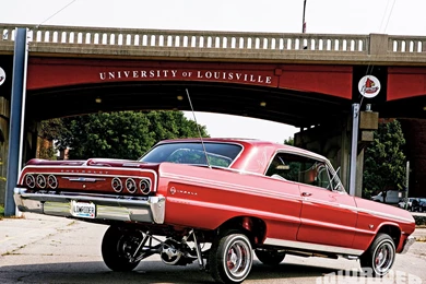 1964 Chevrolet Impala   Pit Bull Four Pump Set Up   Lowrider Magazine