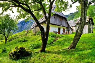 Scenery Slovenia Bovec Trees Grass Buildings House Wallpapers ...