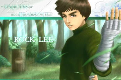 Animation Of Naruto: Rock Lee Manga Image Wallpapers