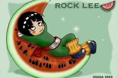 Images Base Beauty: Naruto: Rock Lee   Wallpapers Gallery