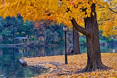 Conversation Between Yoana (member: 3137131) And Sumit (member ...