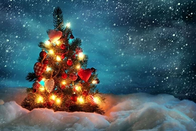Christmas Live Wallpapers For Android   Android Live Wallpapers ...