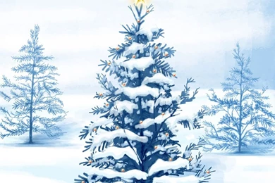 Kitten Cocktail Iphone Wallpapers 320x480 Hd Wallpapers Downloads ...