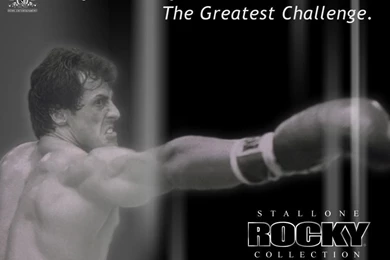 Rocky Balboa Quotes Wallpapers