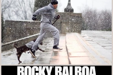 Rocky Balboa Wallpapers   Download