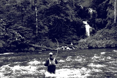 Downloads   NorthWestTrout.com & NWTrout.com   The Fly Fishing ...