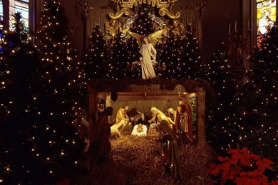 Nativity Scene At Christmas HD Wallpapers