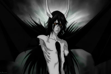 Ulquiorra   Bleach Anime Wallpapers (22369571)   Fanpop
