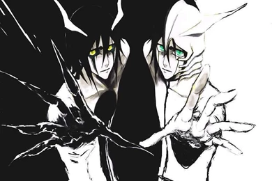 ULQUIORRA   Bleach Anime Photo (33279569)   Fanpop