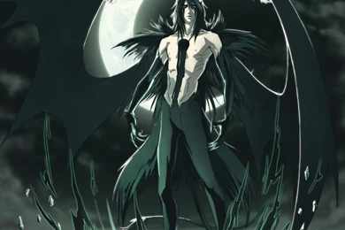Bleach Ulquiorra Cifer HisBir