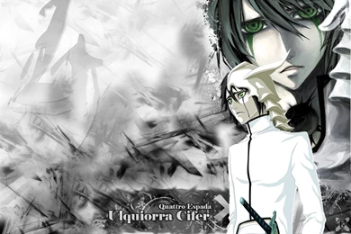 Ulquiorra Cifer Bleach Anime Wallpapers (32986979) Fanpop