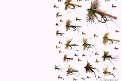 Fly Fishing Flies Computer Desktop Backgrounds Wallpapers