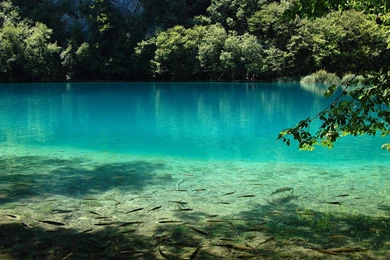 Fly Fishing Wallpapers