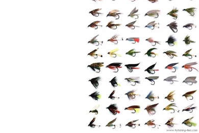 Fly Fishing Flies Computer Desktop Backgrounds Wallpapers