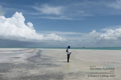 Australian Saltwater Fly Fishing Online