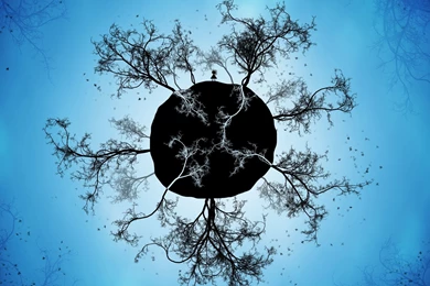 House Yard In A Spring Day Wallpapers 29727