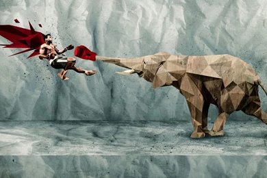 Boxing elephant 1080p artistic desktop wallpaper 29541.jpg