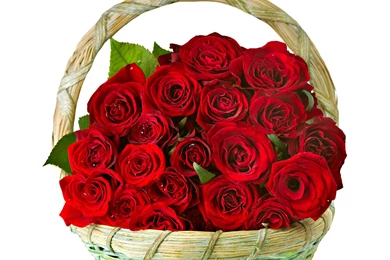 Red Roses Beautiful Red Rose Wide Hd New Wallpapers Red Rose Free ...