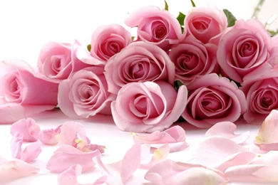 Beautiful Red Wallpapers   All Wallpapers New