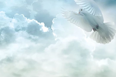 Gallery For   Holy Spirit Backgrounds