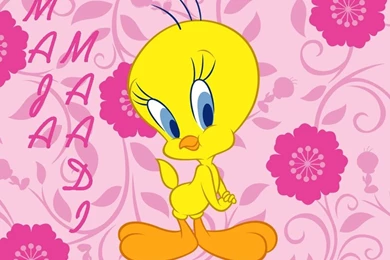 Tweety Wallpapers 192678