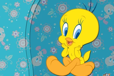 12 Tweety Pie HD Wallpapers