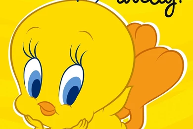 Tweety Wallpapers Free Wallpapers Cave