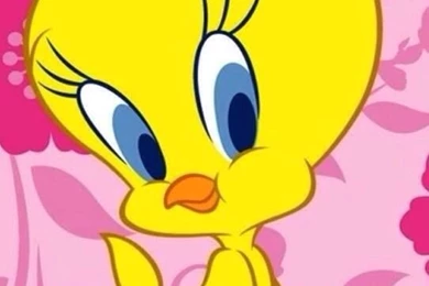 TWEETY BIRD IPHONE WALLPAPER BACKGROUND