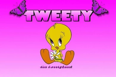 Tweety Bird HD Wallpapers