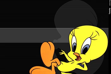 Tweety Bird Wallpapers   13328
