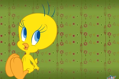 SYLVESTER Looney Tunes Tweety H Wallpapers