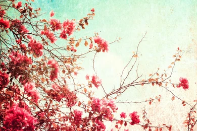 Vintage Looking Wallpapers Widescreen