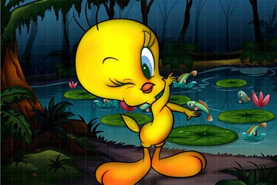 Tweety HD Wallpapers