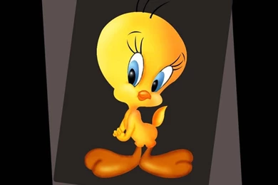 Tweety Wallpapers Hd Images & Pictures