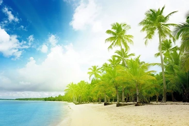 Beach HD Wallpapers Desktop Pictures