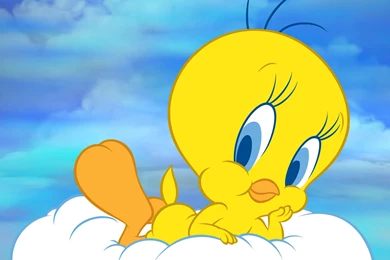 Tweety   Cartoon Wallpapers