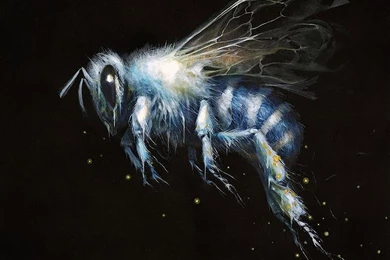 Show Off Your Desktops *warning: Super sized Images* Page 82 ...