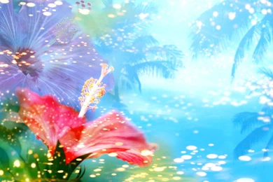 2 Tropical HD Wallpapers