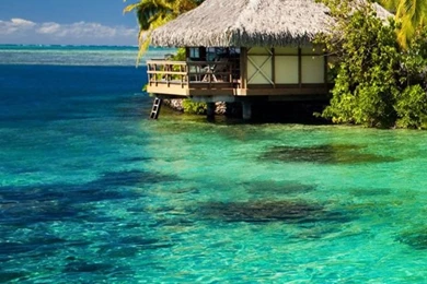 Tropical iPhone 5s Wallpapers