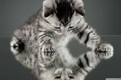 Strange way to see the things wallpaper 1080p HD.jpg