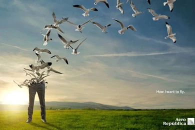 Strange Wallpapers   Sreyux