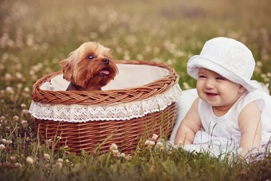 Cute Baby And Basket Puppy Desktop Wallpapers   DreamLoveWallpapers