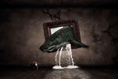 Strange Music Wallpapers For Iphone Squirrel Cute Animal ...