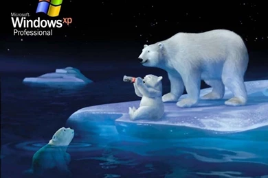 Windows XP 05 Wallpapers   7869