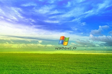 Grass Windows XP Wallpapers   Totalinfo90
