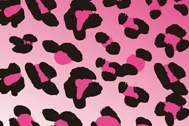 Animal Print On Pinterest