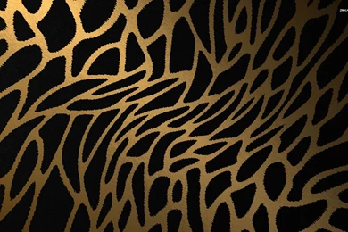 Animal Print Desktop Backgrounds   Wallpapers Cave