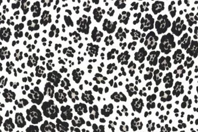 Leopard Print Wallpapers   Desktop Backgrounds