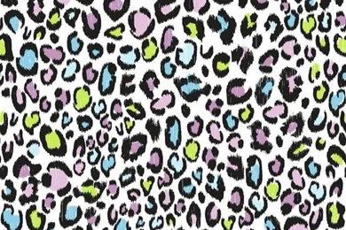 Multi Color Leopard Print Wallpapers   Tropical   Wallpapers ...