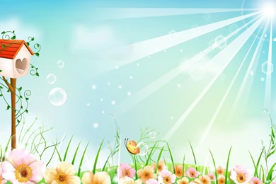 1920x1080 Sunny Bird Table Wallpapers